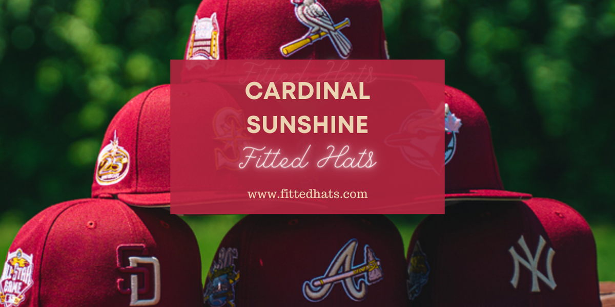 Lids Hat Drop Tampa Bay Rays Cardinal Sunshine New Era Fitted Size 7 5/8