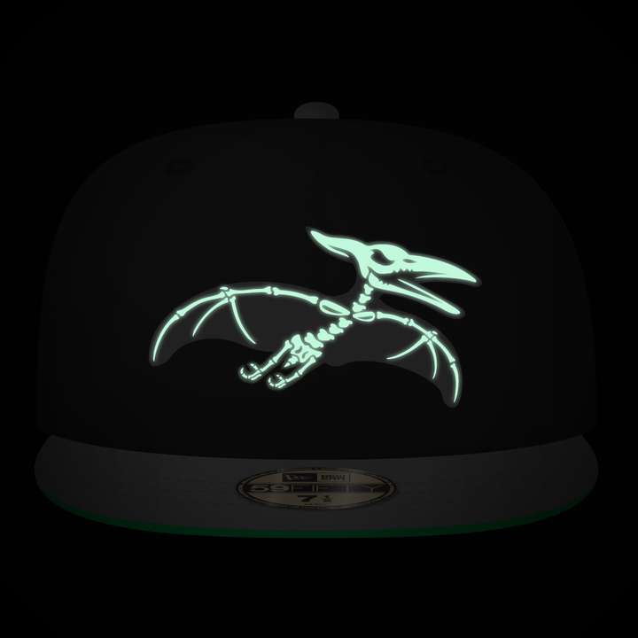 New Era Tampa Pterodactyls 59FIFTY Fitted Hat